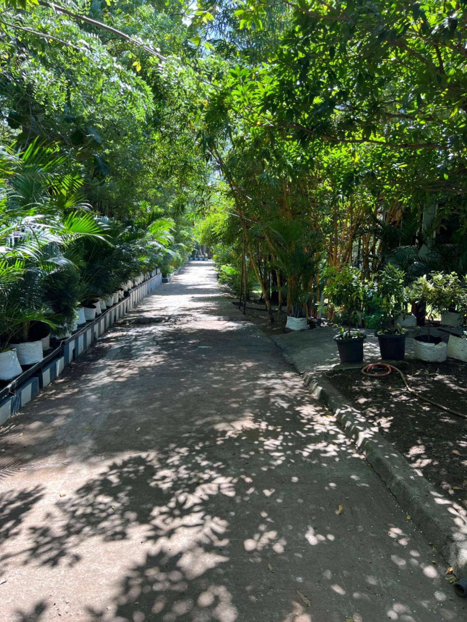 The Midway Jungle Resort マジナグディ エクステリア 写真