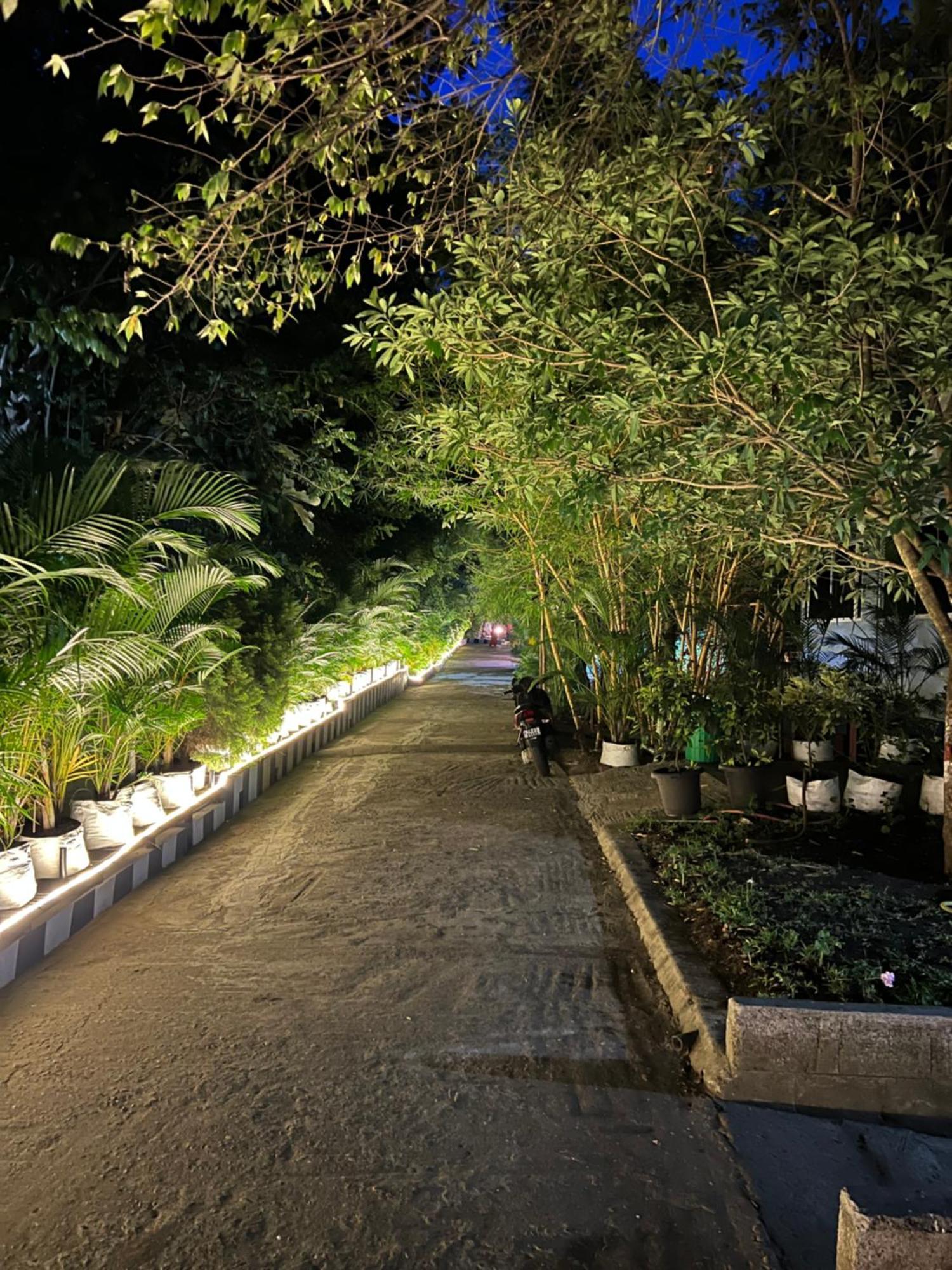 The Midway Jungle Resort マジナグディ エクステリア 写真